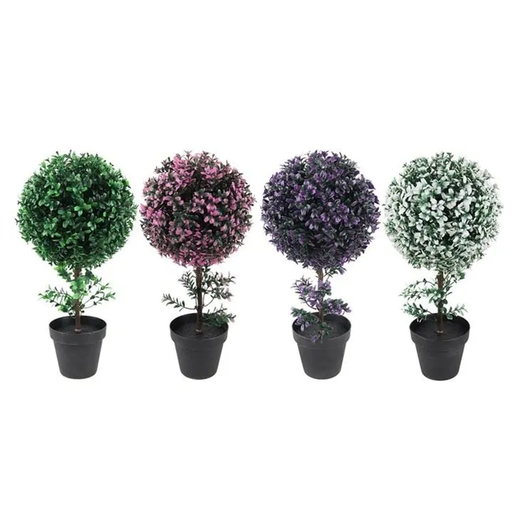 Boxwood Fyra färger Enkel träd