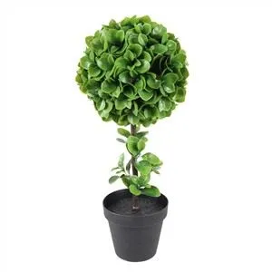 Apple Leaf Tree Tre lager plast